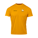 ACS Egham Staff Unisex Technical T-Shirt - Gold